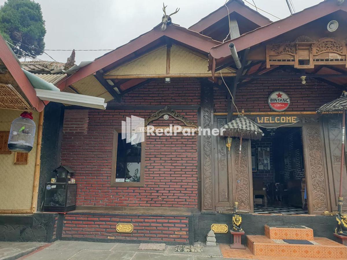 Hotel Yoschi'S Bromo At Desa Wisata Bromo Ngadisari エクステリア 写真